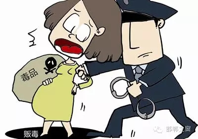 2016年初，涉縣警方查獲一起涉毒案件，鑒于該案涉案人員多、毒品交易量大，涉縣警方立即將案情上報(bào)，被公安部確立為“目標(biāo)-2016-314”號(hào)毒品案件。涉縣警方成立專案組，經(jīng)過多方追查，先后抓獲團(tuán)伙人員13名，繳獲毒品5349克，并查明上線“濮姐”的真實(shí)身份為陳某。
